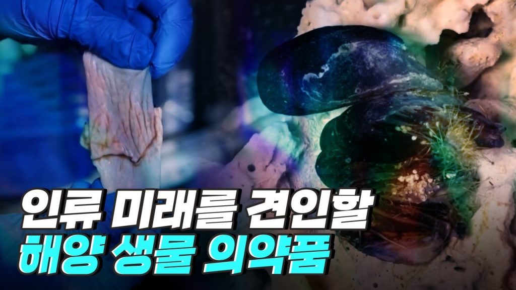 [핫클립] 고부가가치 산업이 될 해양 바이오 산업