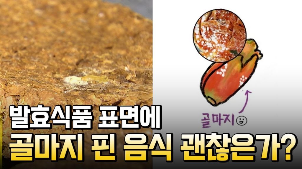발효와 부패의 차이점