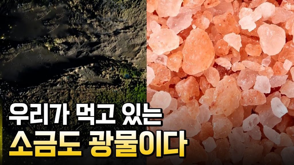 우리 몸속에도 광물이 있다? / 별별실험실
