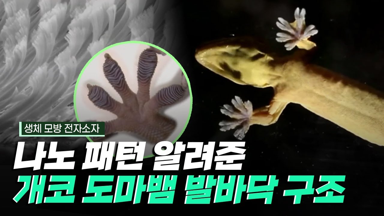 [핫클립] 연구의 전환점이 된 생체 모방 전자소자