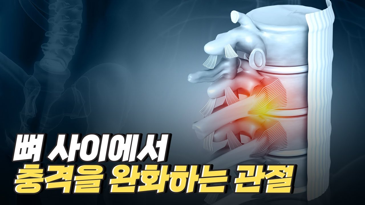 [핫클립] 관절로 이루어져 있는 몸