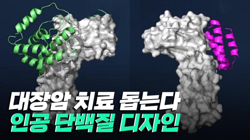 [핫클립] 대장암 치료를 도와주는 단백질을 디자인하다