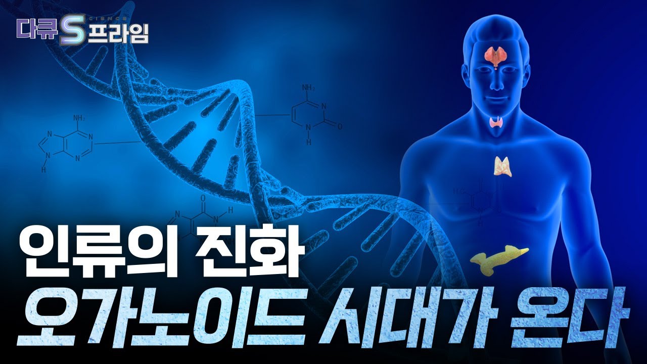 [다큐S프라임 오리지널] 차세대 바이오 핵심 기술, 오가노이드 .. 국내 오가노이드 기술력은?