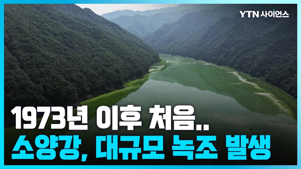 [과학뉴스] 소양강 상류 녹조 발생...소양댐 건설 후 50년 만에 처음