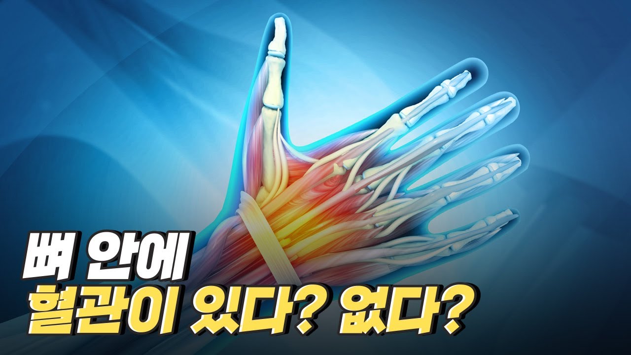 [핫클립] 긴밀하게 영향을 주고받는 뼈와 근육 /