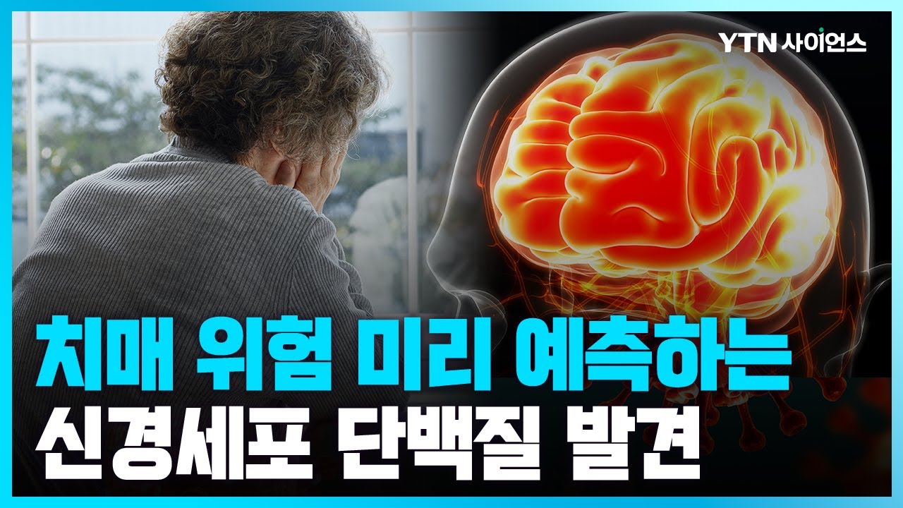 [과학뉴스] 치매 위험 예측할 수 있는 신경세포 단백질 발견