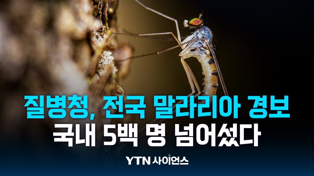 5백 명 넘은 말라리아 환자 ... 9월까지 조심해야