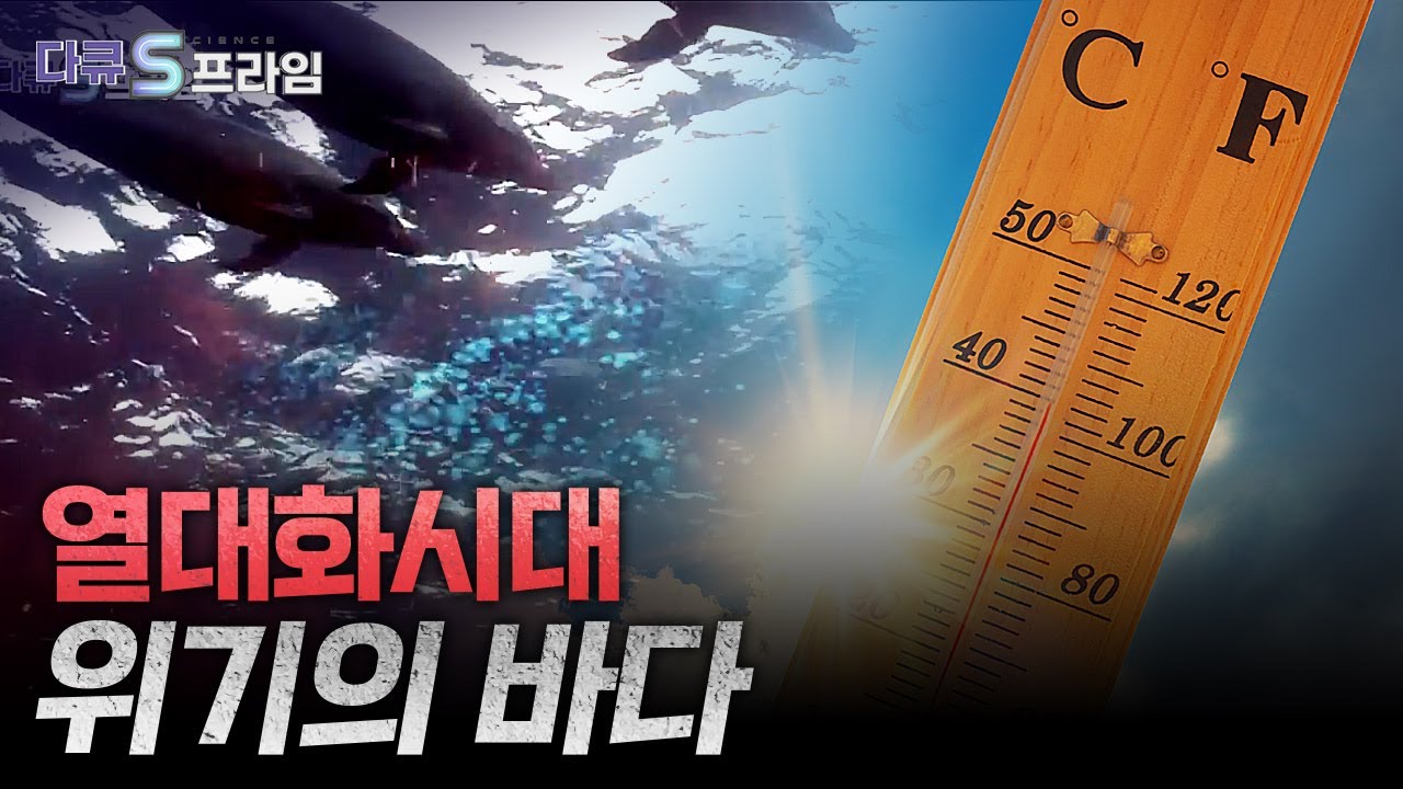 [다큐S프라임] 해양 환경 보호와 지속 가능한 어업을 위한 제도와 노력