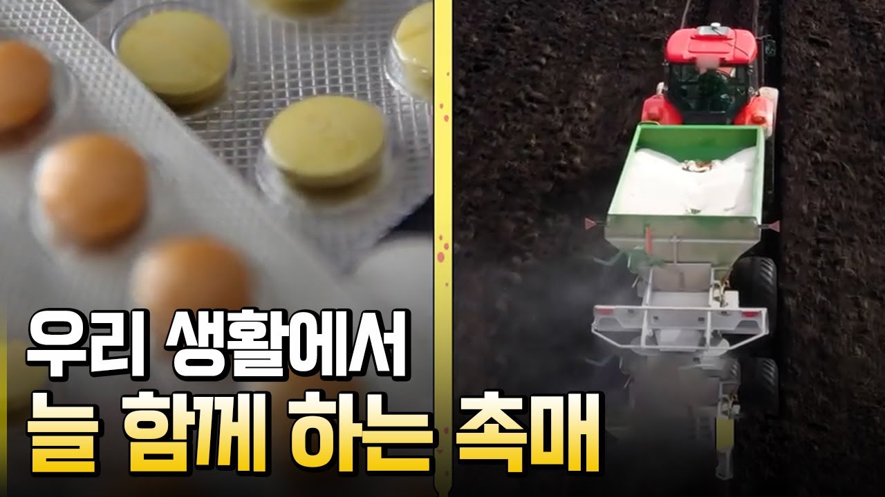 우리 생활에서 늘 함께하는 촉매