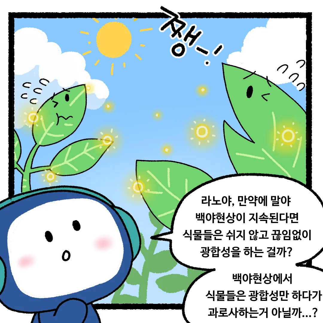 11화 <백야현상이 지속된다면?>