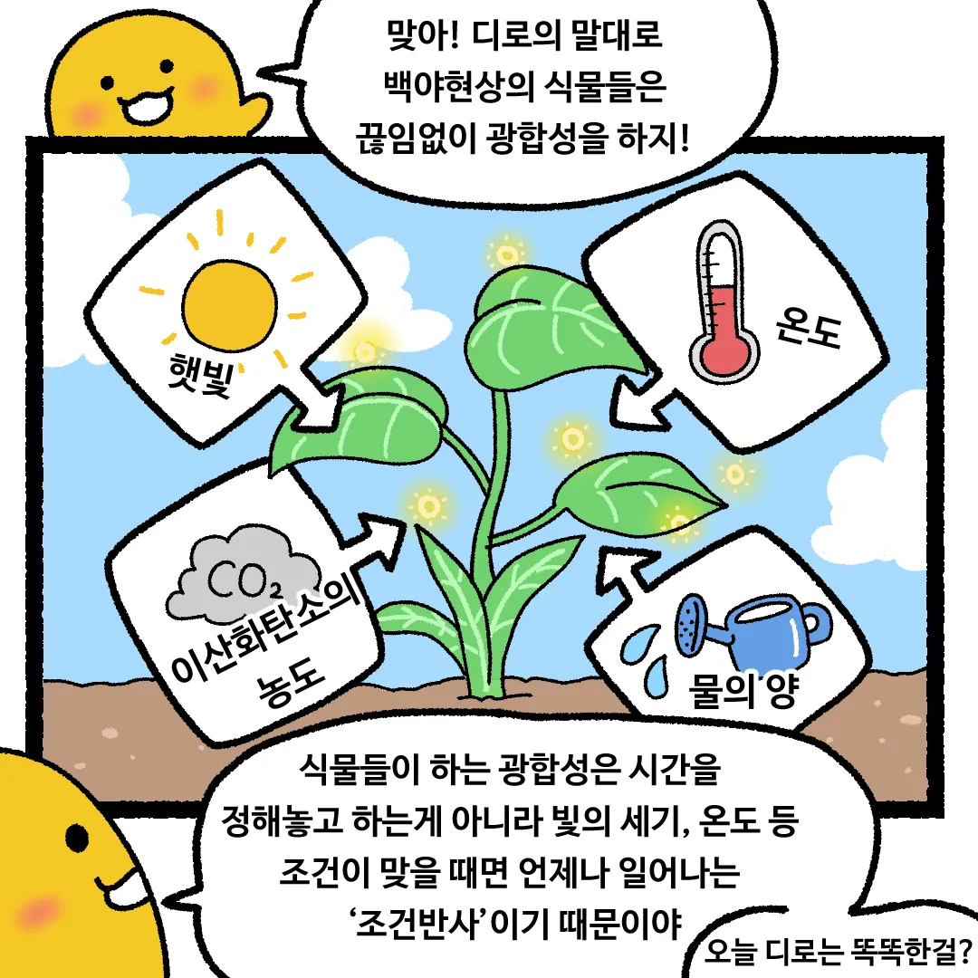 11화 <백야현상이 지속된다면?>