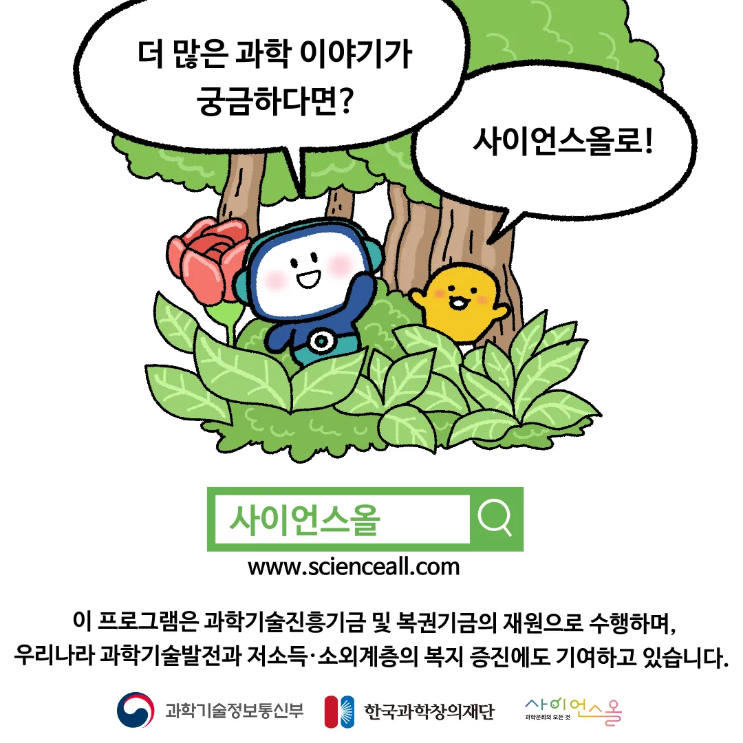 11화 <백야현상이 지속된다면?>