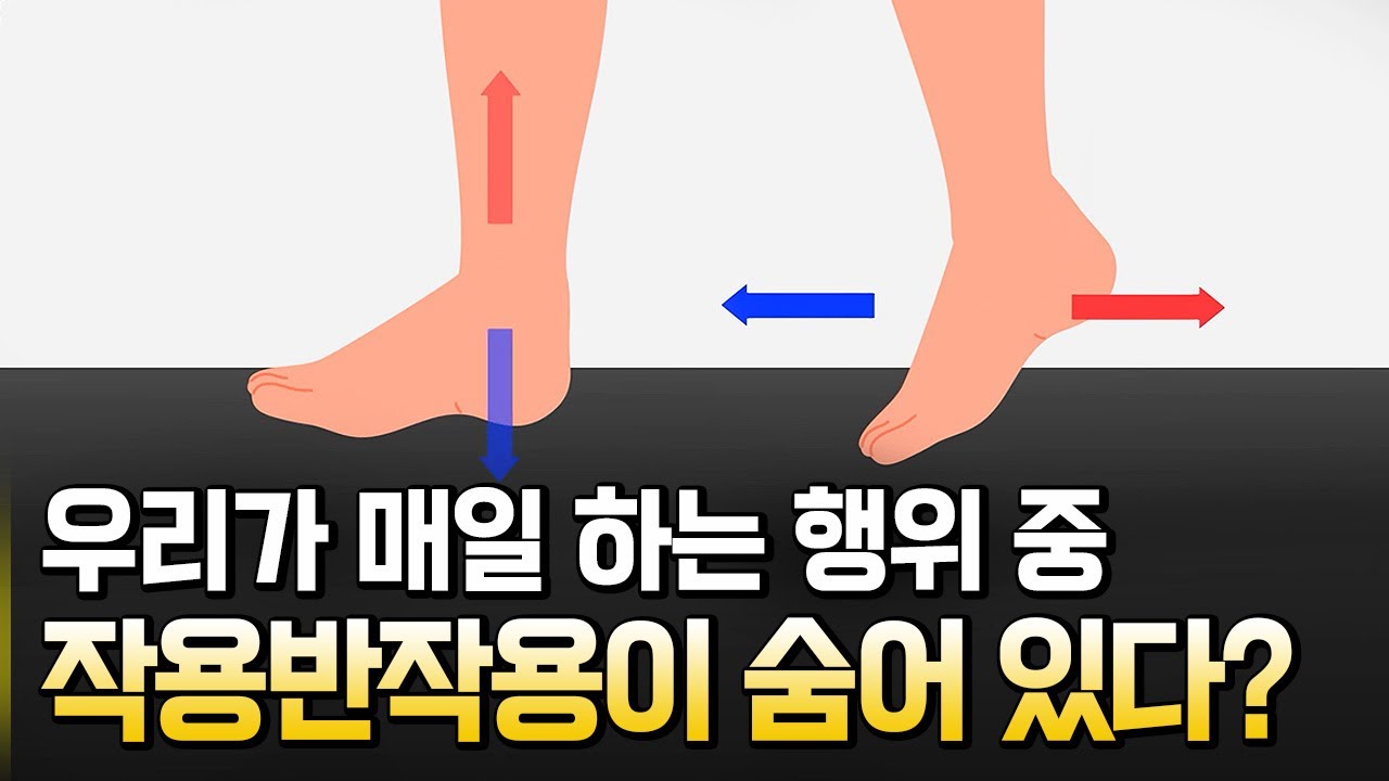 일상 속 작용반작용