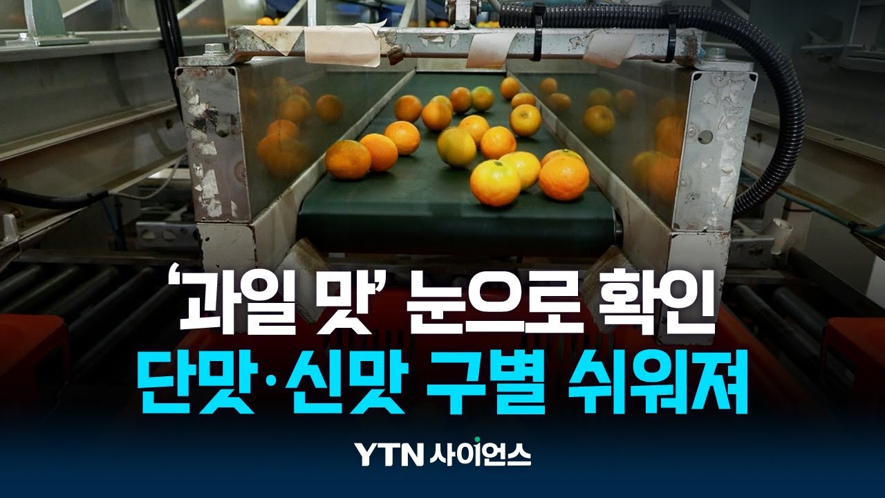 '과일 맛' 이젠 눈으로 확인하세요...단맛·신맛 구별 쉬워진다