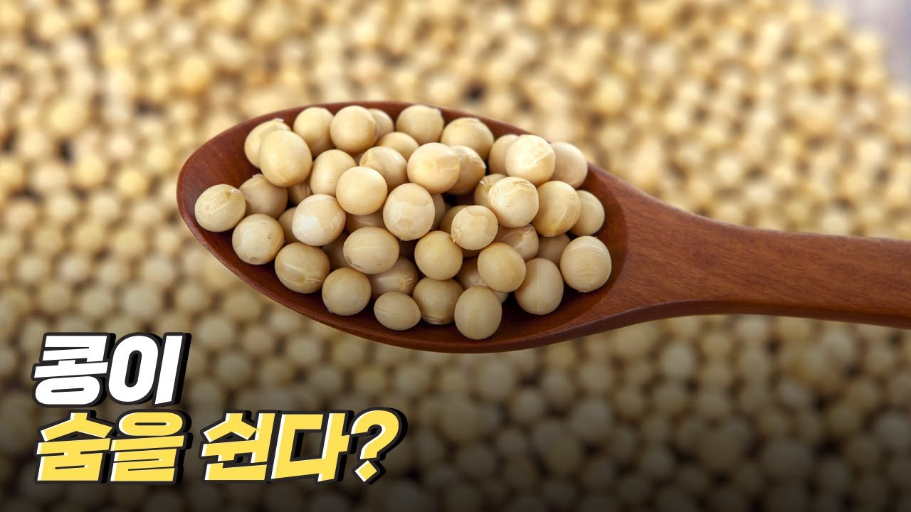 [핫클립] 콩이 이산화탄소를 내뿜는다?