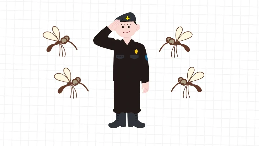 [연구일지] 70년간 독도경비대원 괴롭혔던 곤충, 알고보니 신종 점등에모기로 밝혀져