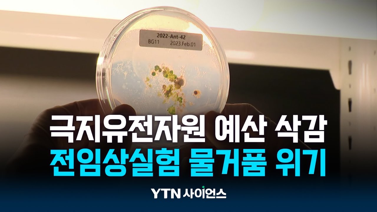 '치매 치료제' 후보물질 찾았는데…예산 삭감에 물거품 위기