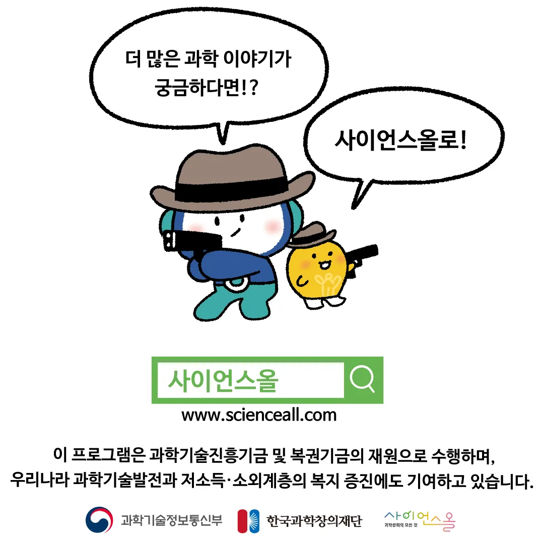 19화 <하늘로 총을 쏜다면?>