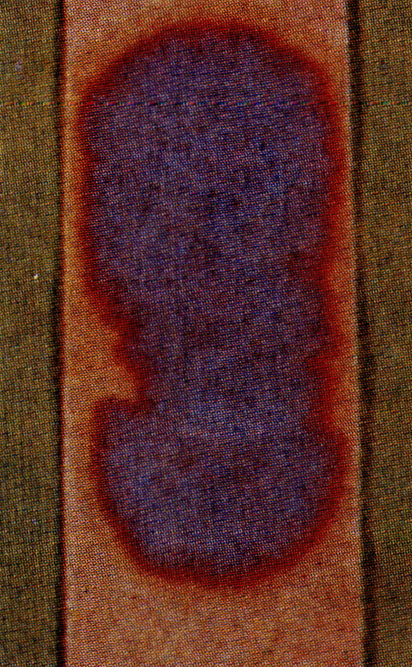 리트머스종이(litmus paper )