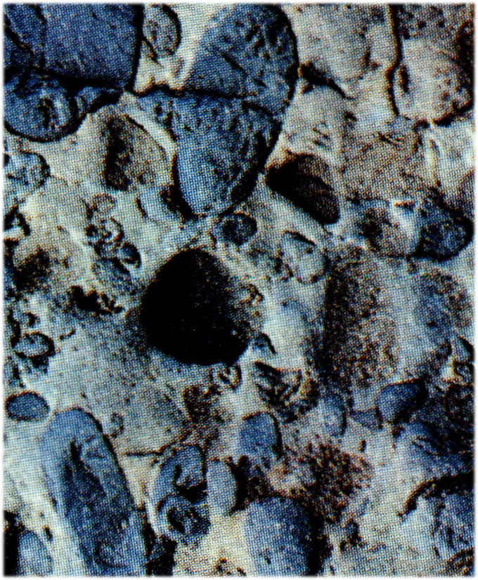 역암(conglomerate)