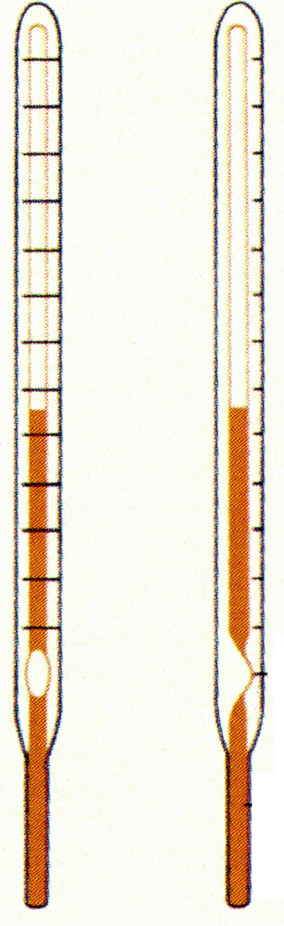 체온계(clinical thermometer )