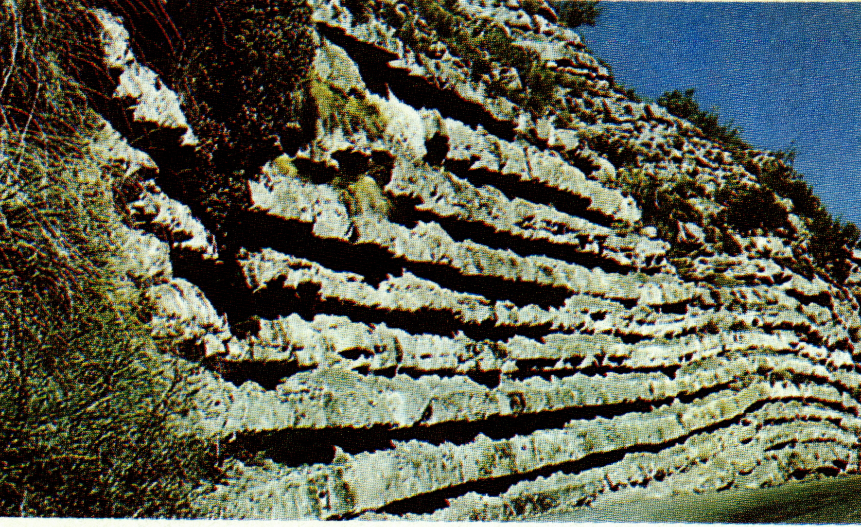 층리(stratification)