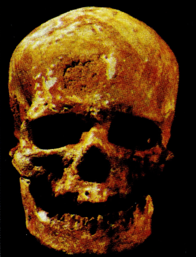 크로마뇽인(Cro-Magnon man)