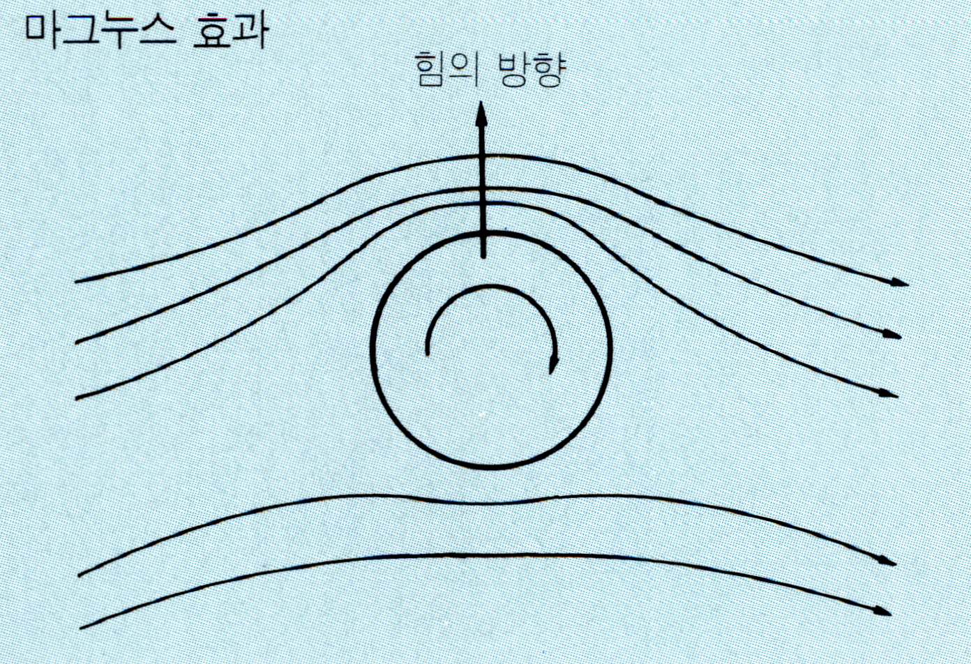 마그누스효과(Magnus effect )