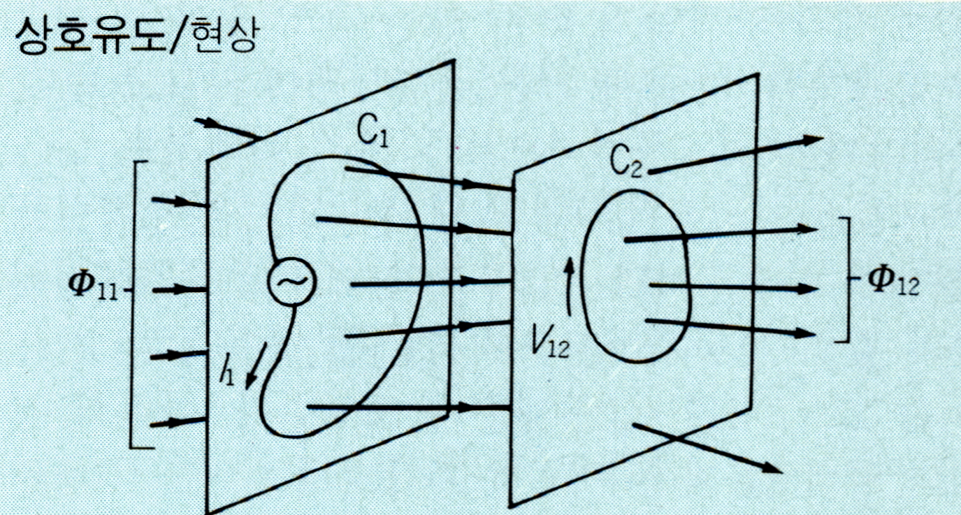 상호유도(mutual induction)