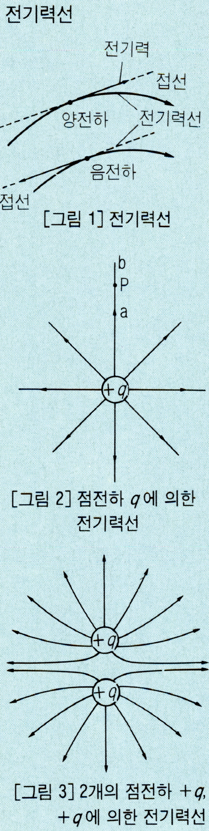 전기력선(line of electirc force)