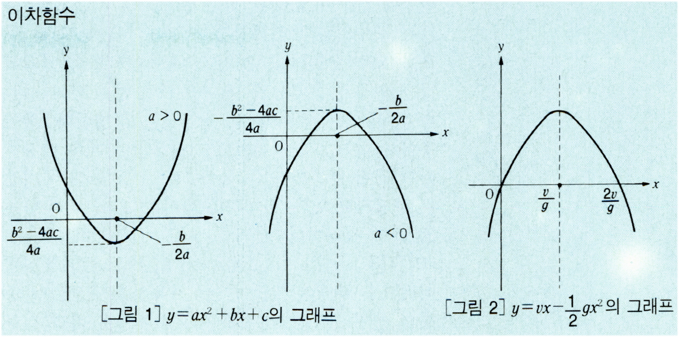이차함수(quadratic function)