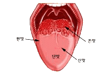 짠맛이란?