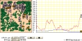 산토끼와 스라소니의 생태계 - Hare and Lynx Populations
