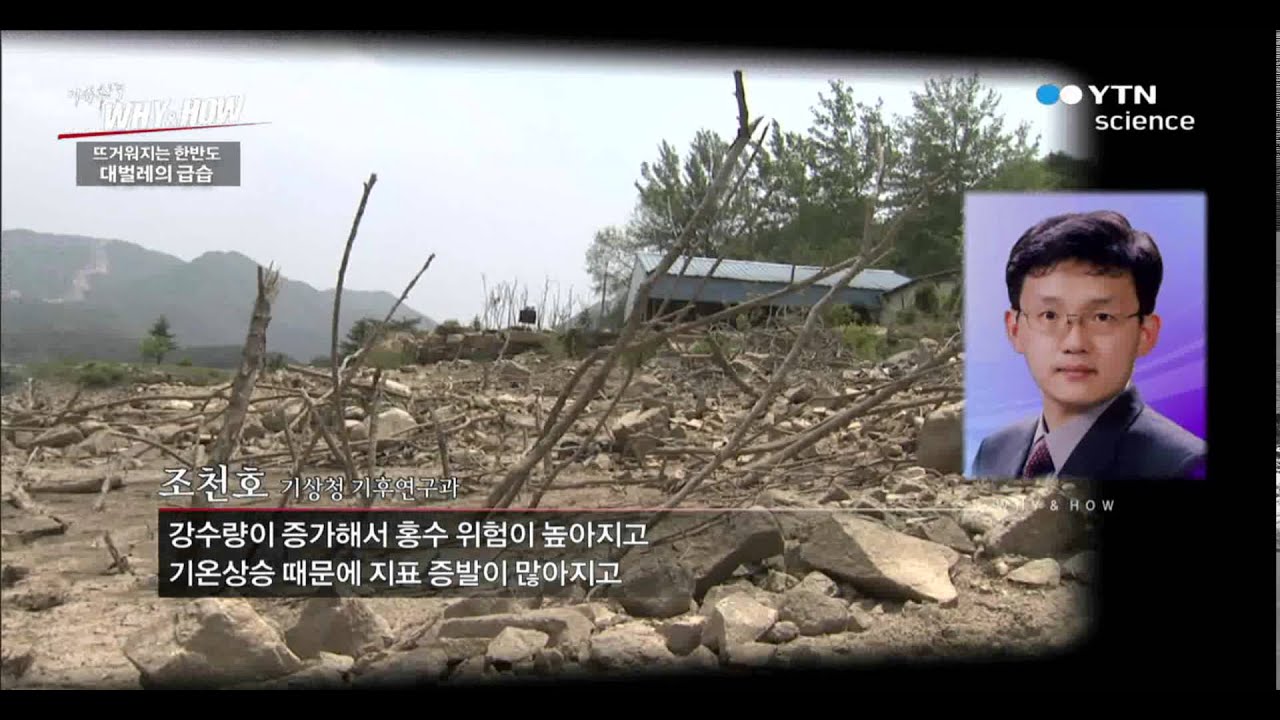 뜨거워지는 한반도 대벌레의 습격