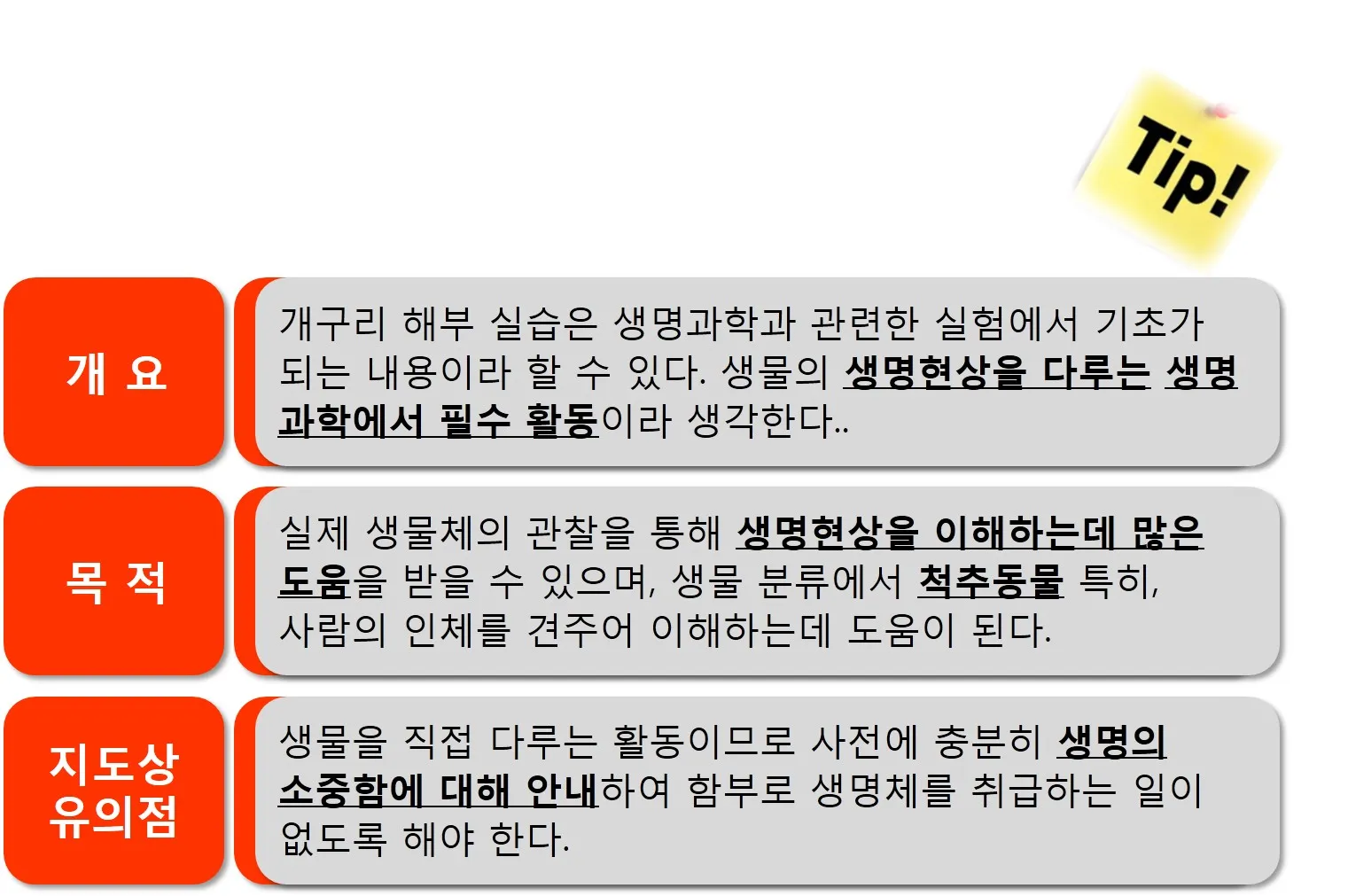 [고등] 생물의 구성 '개구리해부' (정원준 교사)