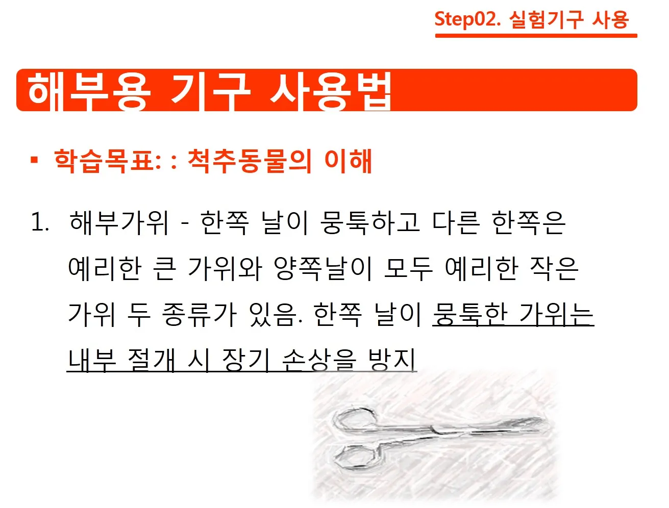 [고등] 생물의 구성 '개구리해부' (정원준 교사)