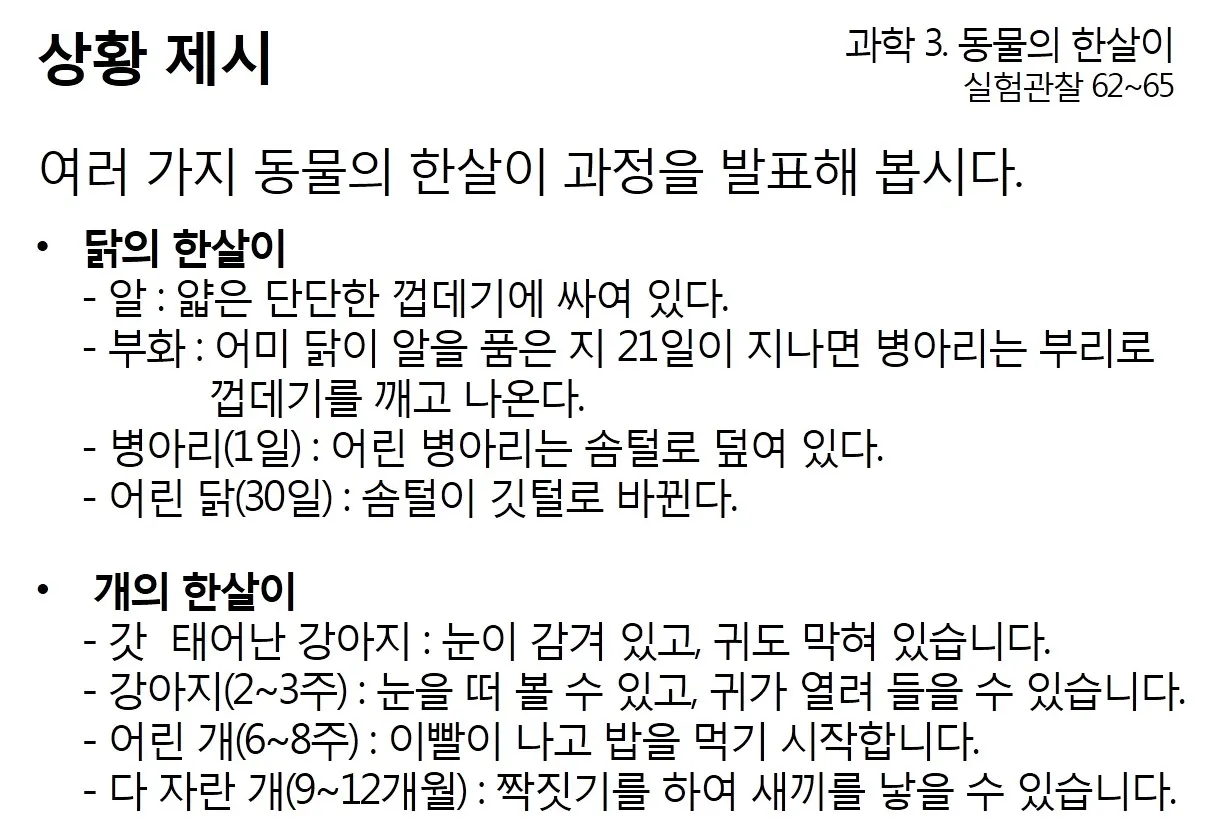 [초등] 동물의 한살이 '동물 한 살이 런닝볼을 굴려라' (장일선 교사)