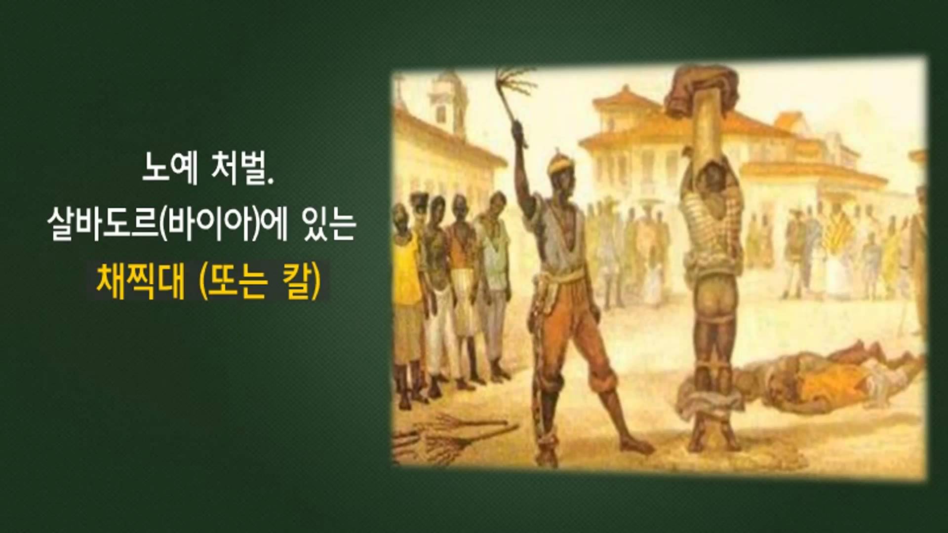 [고등생명과학] 나는 왜 생물일까?_왜 노예들은 인간다운 대접을 받지 못했을까?