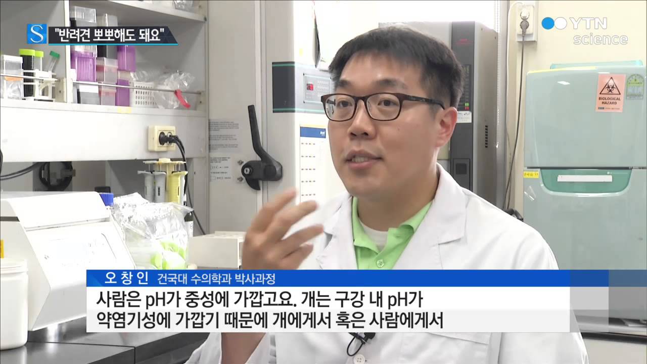 [사이언스 TV]  반려견과 뽀뽀…세균 전염 가능성은