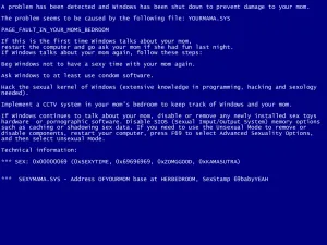 블루 스크린[blue screen of death]