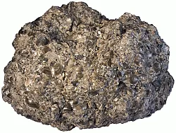 인광석[燐鑛石, Phosphorite]