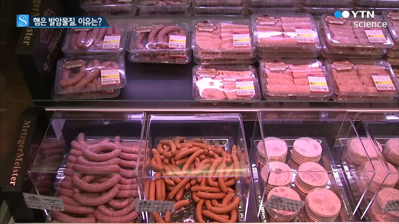 [사이언스 TV] 햄은 1군 발암물질…이유는