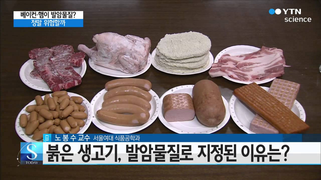 [사이언스 TV] 베이컨·햄이 발암물질 정말 위험할까