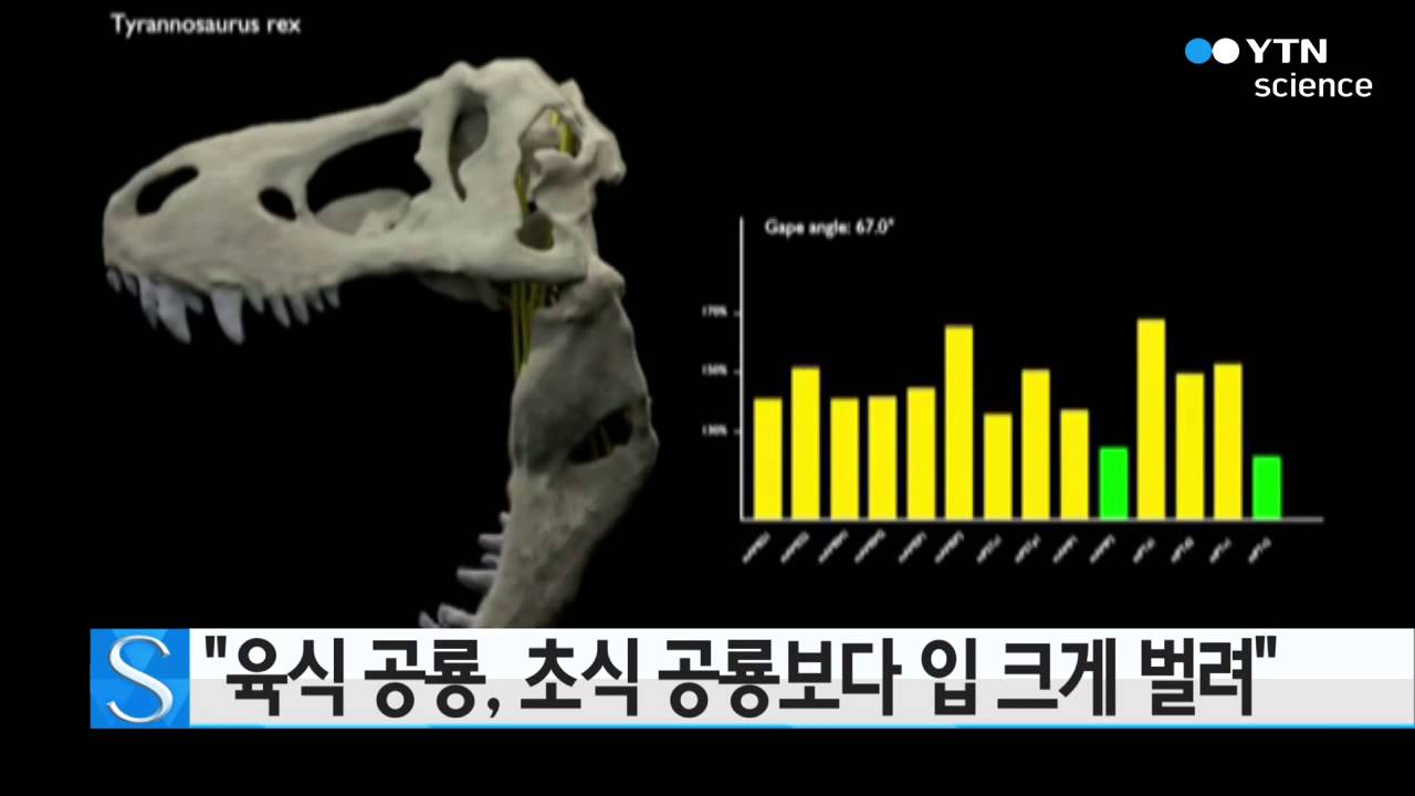 [사이언스 TV] 육식 공룡이 초식 공룡보다 훨씬 입 크게 벌려