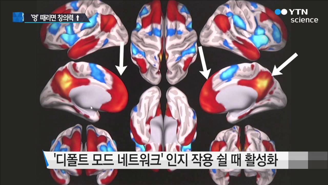 [사이언스 TV] 가끔은 하던 일을 멈추고 멍하게