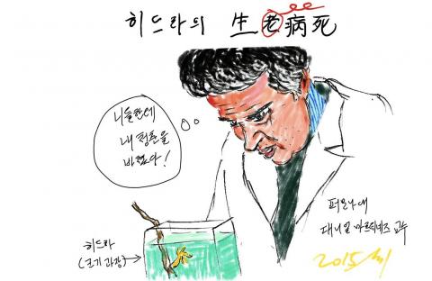 [사이언스타임즈] 생로병사 법칙의 예외 ‘히드라’