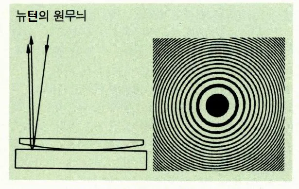 뉴턴 원무늬[Newton's ring]