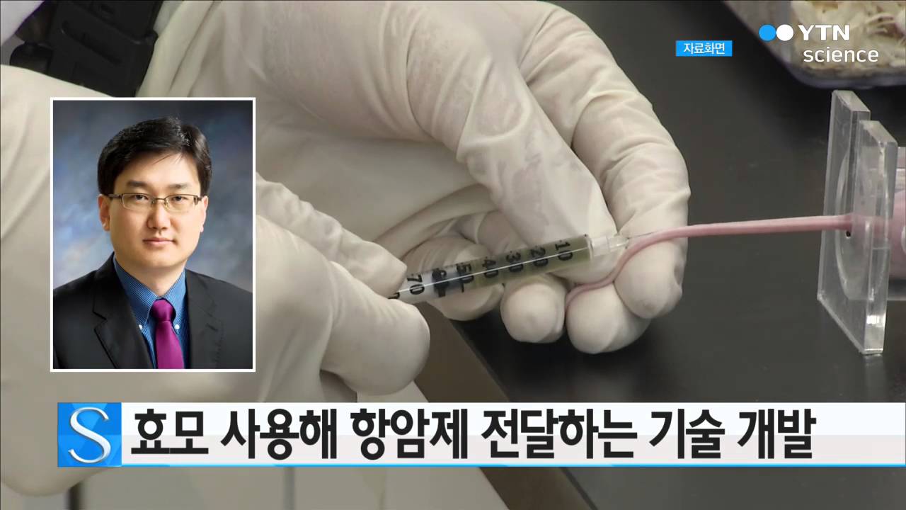 [사이언스 TV] 효모 사용해 항암제 전달하는 기술 개발