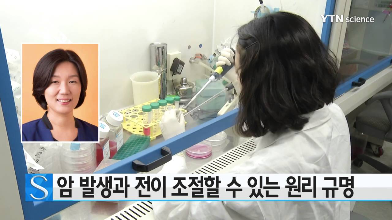 [사이언스 TV] 암 발생과 전이 조절할 수 있는 원리 규명