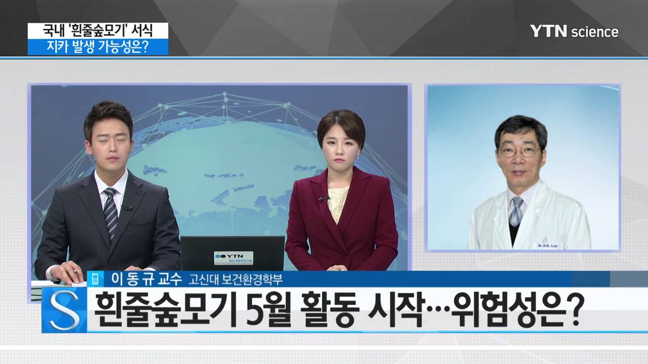 [사이언스 TV] 국내에도 '흰줄숲모기' 서식…지카 발생 가능성은